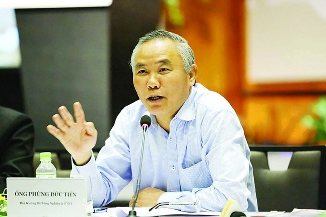Tái cơ cấu giúp ngành 555win Mobi 'thoát hiểm' để cán đích 2022