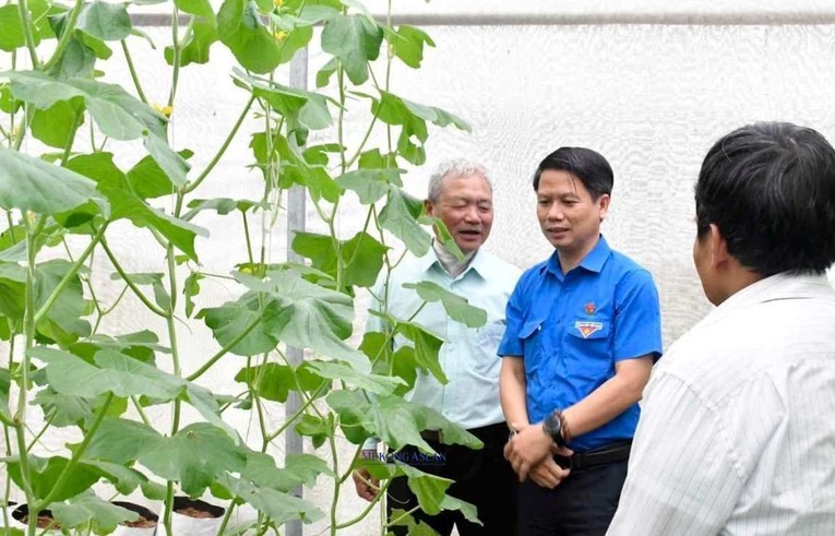 Nhiều sản phẩm rau, củ, quả của Hợp t&aacute;c x&atilde; T&acirc;n Minh Đức (huyện Gia Lộc) đ&atilde; đạt chứng nhận OCOP.