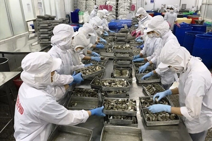Thủy sản l&agrave; mặt h&agrave;ng Trung Quốc nhập khẩu lớn từ Việt Nam.