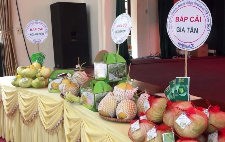 Năm nay, huyện Gia Lộc c&oacute; th&ecirc;m 10 sản phẩm tham gia đ&aacute;nh gi&aacute;, ph&acirc;n hạng sản phẩm OCOP.
