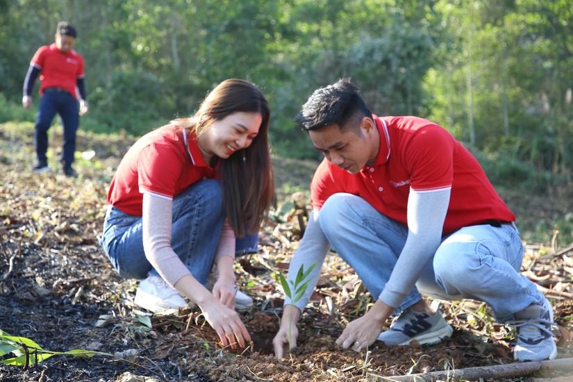 SeABank tiếp tục phủ xanh 3ha rừng ph&ograve;ng hộ tại Thanh H&oacute;a